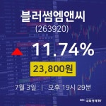 주가그래프 블러썸엠앤씨 주가 3일  현재 23800원 