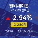 [특징주분석 종목정보] 7월 5일 엘비세미콘 12250원으로 장 마감