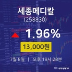 세종메디칼주가차트  8일  현재 13000원 