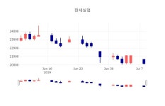 [특징주분석 종목정보]  9일 한세실업 마감증시 19850원...