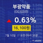 주식종목검색 부광약품 주가 10일  현재 16100원 
