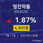 7월 11일 영진약품 오늘주식시장 1.87% 4905원 