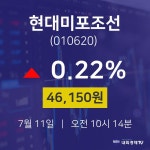 오늘주식시장 현대미포조선 주가 11일  현재 46150원 