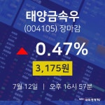 [특징주 종목정보] 7월 12일 태양금속우 3175원으로 장 마감