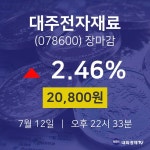 [증시 매매동향] 7월 12일 대주전자재료 20800원으로 장 마감