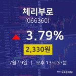 7월 19일 체리부로 주식종목시세 2330원  3.79%