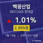 [특징주분석 매매동향]  19일 백광산업 마감증시 2995원...