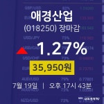 [상장주 종목정보]  19일 애경산업 마감증시 35950원...