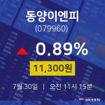 주식주가 동양이엔피 주가 30일  현재 11300원 