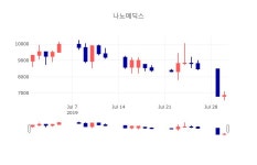 [특징주 매매동향]  31일 나노메딕스 마감증시 6230원...