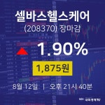 [특징주분석 종목정보] 8월 12일 셀바스헬스케어 1875원으로 장 마감