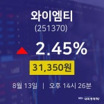 8월 13일 와이엠티 배당주식 31350원  2.45%