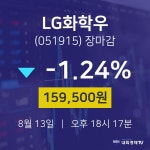[상장주 주가정보] 8월 13일 LG화학우 159500원으로 장 마감