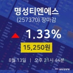 [특징주 종목정보]  13일 명성티엔에스 마감증시 15250원...