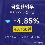 [특징주 종목정보]  16일 금호산업우 마감증시 43150원...
