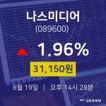 증권투자 나스미디어 주가 19일  현재 31150원 