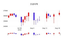 오늘주식시장 조광피혁 주가 20일  현재 37000원 