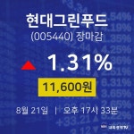 [특징주 주가정보] 8월 21일 현대그린푸드 11600원으로 장 마감