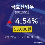 주식증권 금호산업우 주가 22일  현재 53000원 