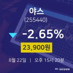투자주식 야스 주가 22일  현재 23900원 