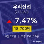 주식종목 우리산업 주가 27일  현재 18700원