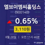 주식종목 엘브이엠씨홀딩스 주가 28일  현재 3110원