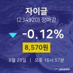 [특징주분석 주가정보]  28일 자이글 마감증시 8570원...