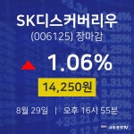 (주)디스커버서울씨앤티 | [특징주분석 종목정보] 8월 29일 SK디스커버리우 14250원으로 장 마감