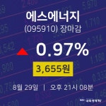 [인기종목 주가정보] 8월 29일 에스에너지 3655원으로 장 마감