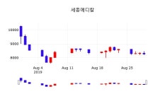 주가그래프 세종메디칼 주가 30일  현재 8450원