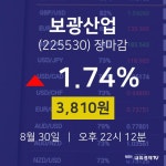 [특징주 주가정보] 8월 30일 보광산업 3810원으로 장 마감