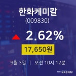 주가그래프 한화케미칼 주가 3일  현재 17650원