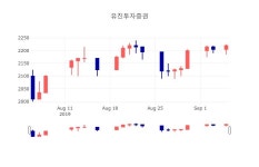 [특징주 종목정보]  5일 유진투자증권 마감증시 2255원...