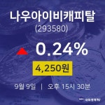 나우아이비캐피탈주식그래프  9일  현재 4250원