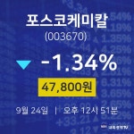 실시간증시 포스코케미칼 주가 24일  현재 47800원