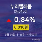 증권매매 누리텔레콤 주가 24일  현재 6010원