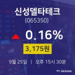 오늘주식시장 신성델타테크 주가 25일  현재 3175원