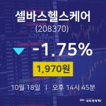 10월 18일 셀바스헬스케어 주가차트 -1.75% 1970원
