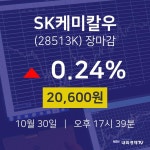 [특징주분석 매매동향]  30일 SK케미칼우 마감증시 20600원...