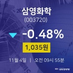 11월 4일 삼영화학 금일증시 -0.48% 1035원