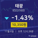 주식종목검색 태광 주가 6일  현재 10350원