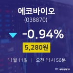 배당주식 에코바이오 주가 11일  현재 5280원