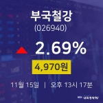 11월 15일 부국철강 주가차트 4970원  2.69%