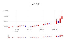 주가그래프 보라티알 주가 15일  현재 11500원