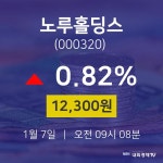 오늘증시 노루홀딩스 주가 7일  현재 12300원