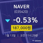 주식종목시세 NAVER 주가 13일  현재 187,000원