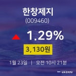 한창제지주가그래프  23일  현재 3,130원