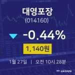 오늘주식 대영포장 주가 27일  현재 1,140원