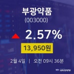 증권주식 부광약품 주가 4일  현재 13,950원