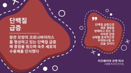 美 국립보건연구소, 신종 코로나바이러스 백신 개발에 박차 가하다